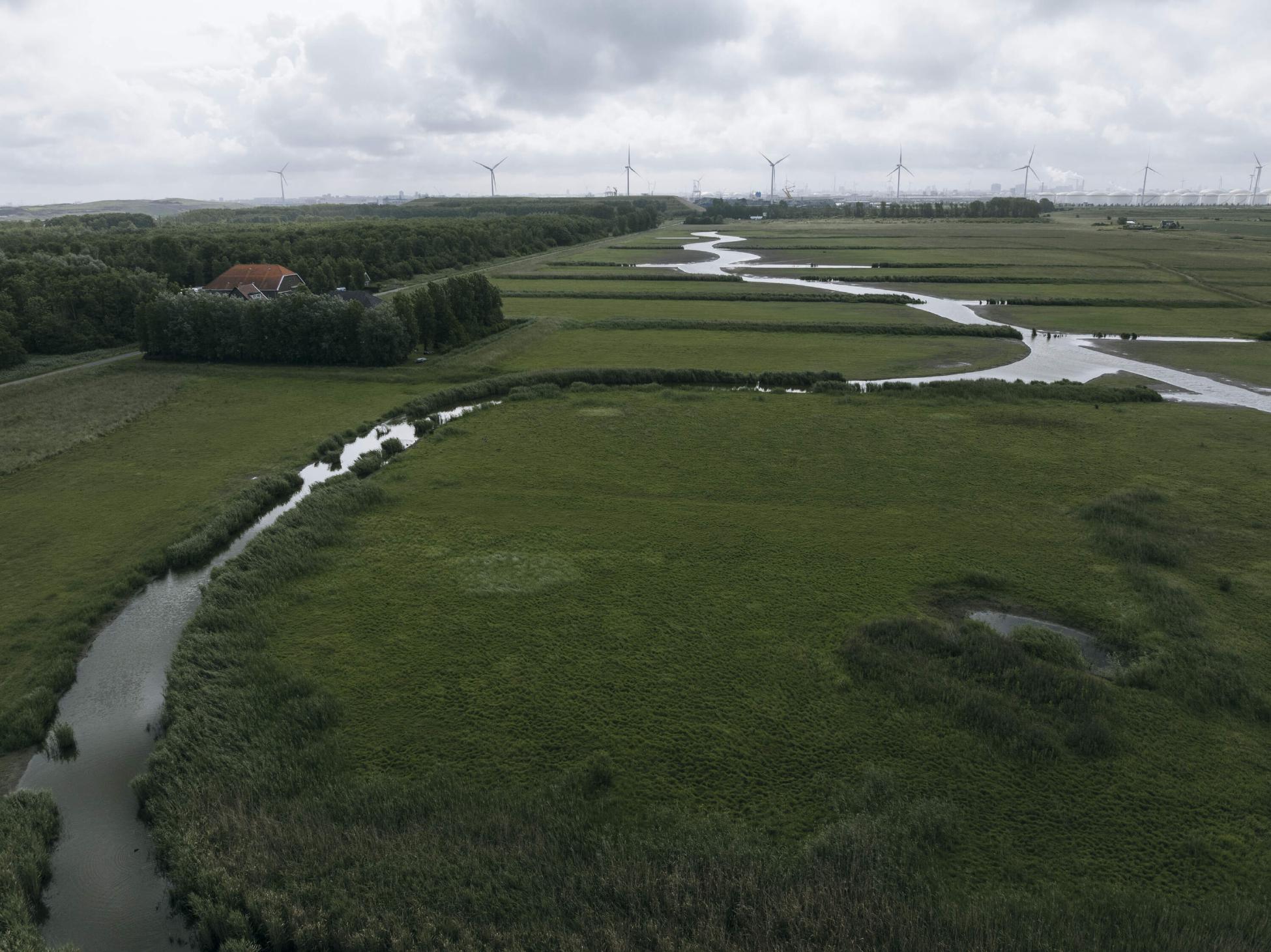 Toekomstige functies Houtrakpolder